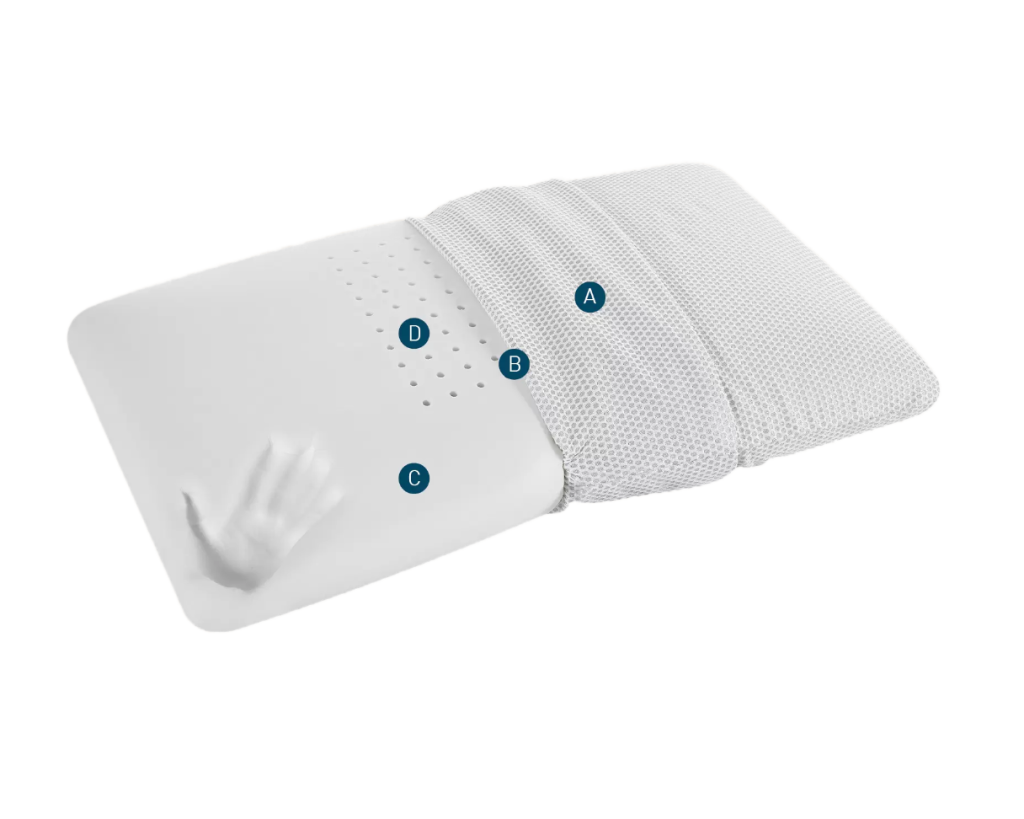 Remove-bg.ai_1691523774465.png